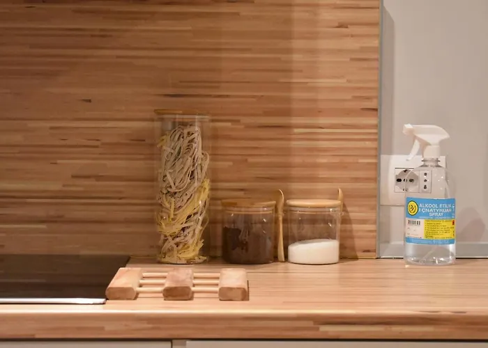 Tam Serviced Shallvaret District Tirana