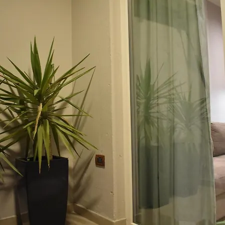 Tam Serviced Shallvaret District Tirana