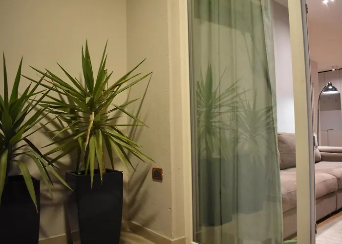 Tam Serviced Shallvaret District Τίρανα